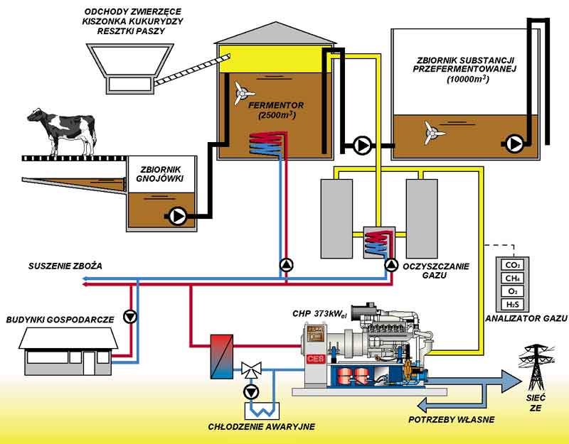 Energetyka z biomasy